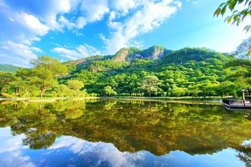 湿度, czQV, 柏林四十公